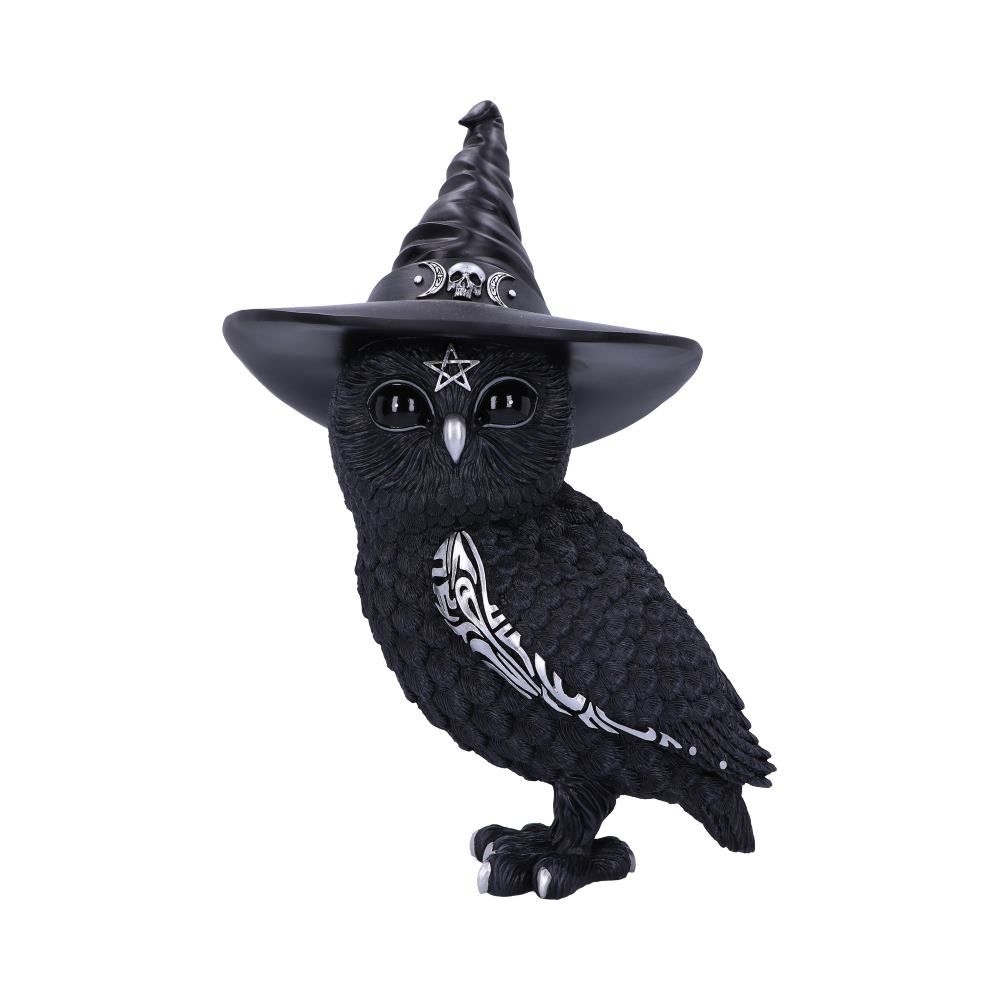 Nemesis Now - Owlocen 30cm (Large) Beeld/figuur - Multicolours